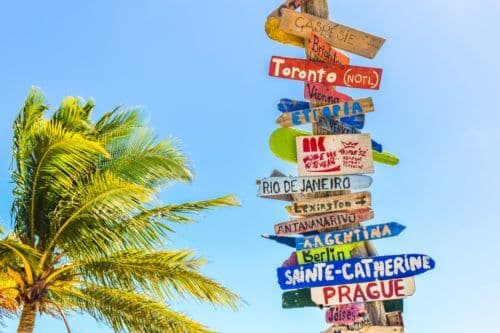 feeling-directionless-signpost-palm-tree-confused